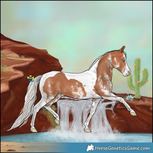 Horse Color:White Spotted Silver Bay Splash Tobiano 