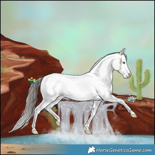 Horse Color:White Spotted Sable Champagne Splash