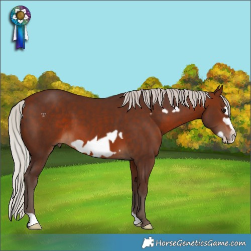 Horse Color:Silver Brown Frame