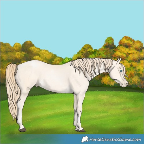 Horse Color:Buckskin Snowdrop 