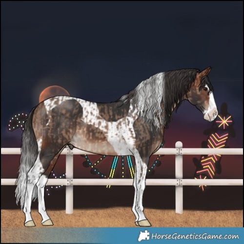 Horse Color:Bay Dun Splash Rabicano and Brown Splash Tobiano