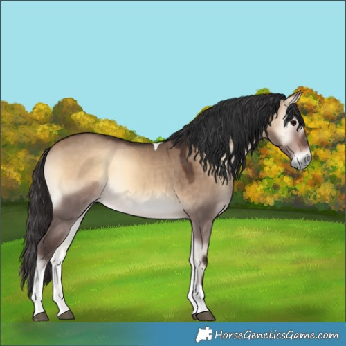 Horse Color:Bay Onyx Tobiano Rabicano 