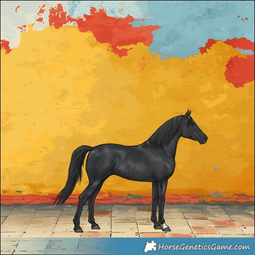 Horse Color:Black Rabicano 