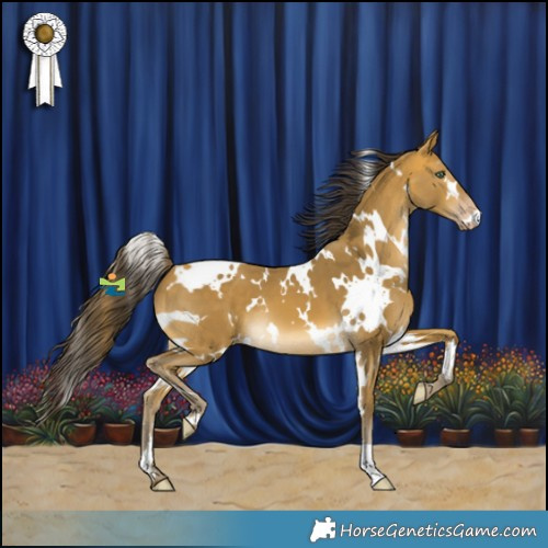 Horse Color:White Spotted Sable Cream Champagne