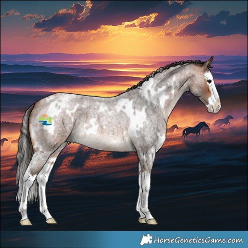 Horse Color:White Spotted Bay Roan Splash Varnish