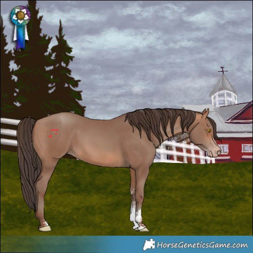 Horse Color:Sable Champagne Sabino and Sable Champagne Sabino