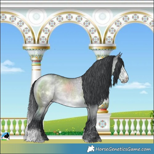 Horse Color:Brown Chinchilla Dun Sabino Frame Rabicano 