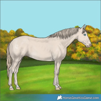 Horse Color:Smoky Creme