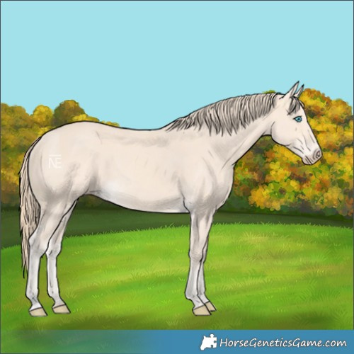 Horse Color:Perlino 