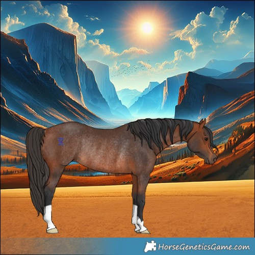 Horse Color:Bay Rabicano 