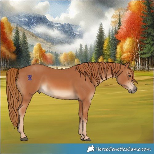 Horse Color:Chestnut Rabicano 