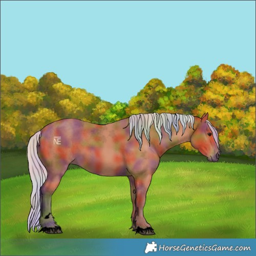 Horse Color:Void Nacre Silver Bay