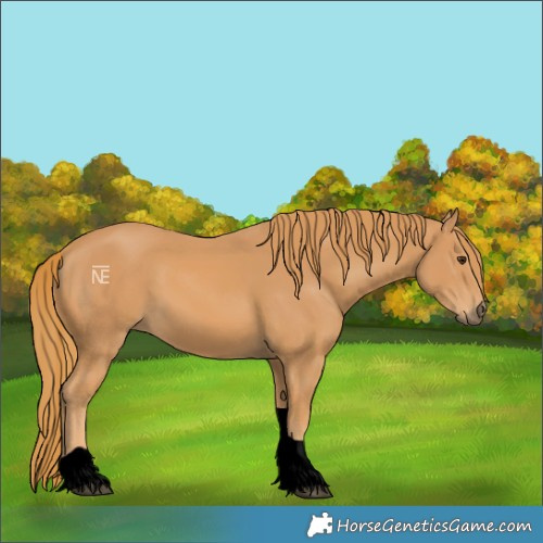 Horse Color:Void Chestnut Tobiano 