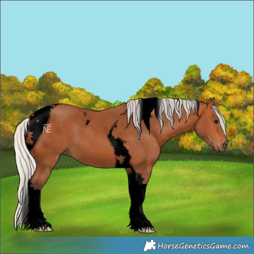 Horse Color:Void Silver Bay Tobiano