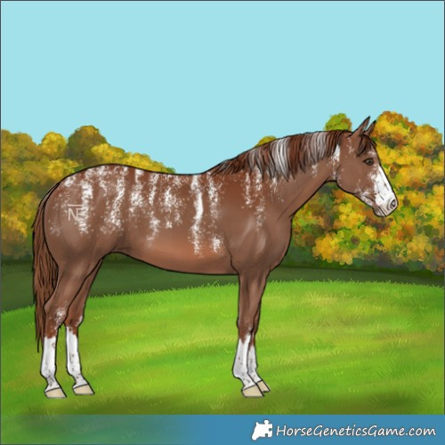 Horse Color:Powder White Chestnut 