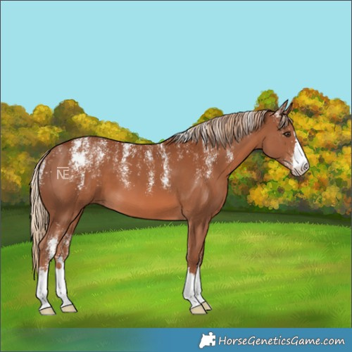 Horse Color:Powder White Chestnut 