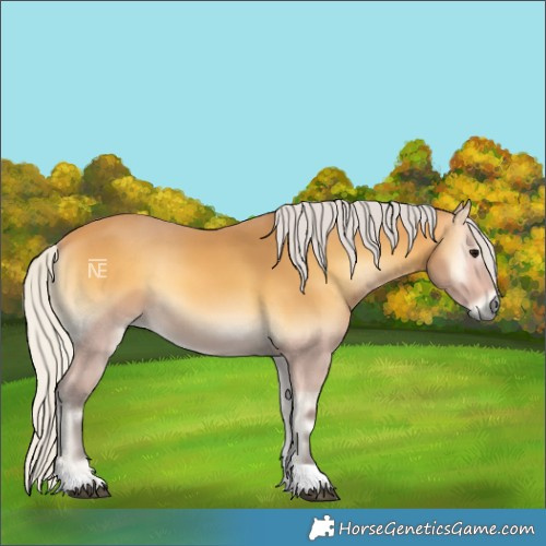 Horse Color:Silver Buckskin Onyx Tobiano 