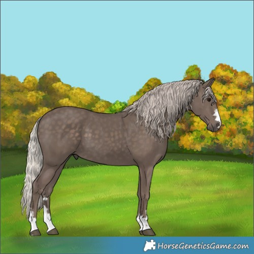 Horse Color:Silver Black 