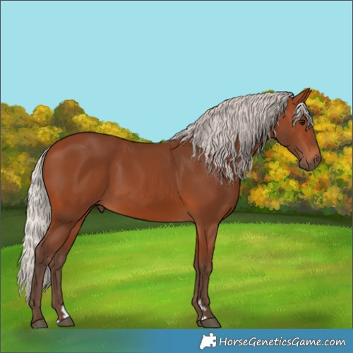 Horse Color:Silver Brown 