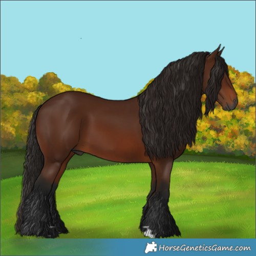 Horse Color:Gray Bay 
