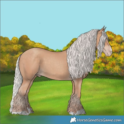 Horse Color:Silver Classic Champagne 