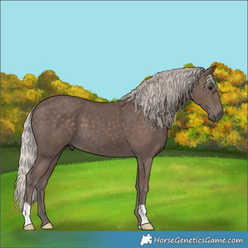 Horse Color:Silver Black 