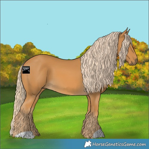 Horse Color:Palomino