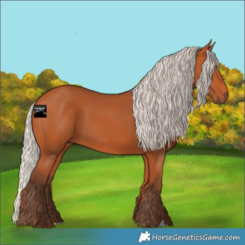 Horse Color:Silver Bay 