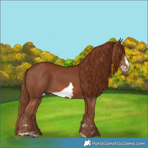 Horse Color:Chestnut Frame
