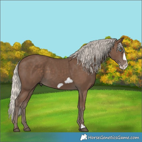Horse Color:Silver Black Frame 