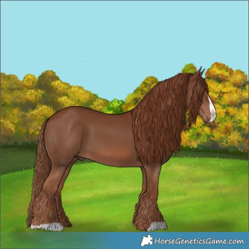 Horse Color:Chestnut Frame
