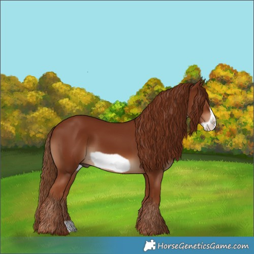 Horse Color:Chestnut Frame 
