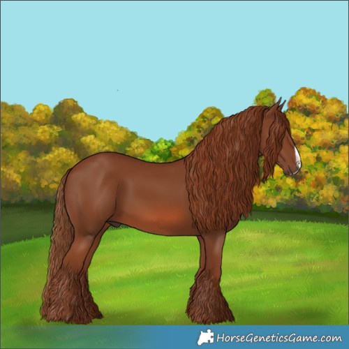 Horse Color:Chestnut Frame