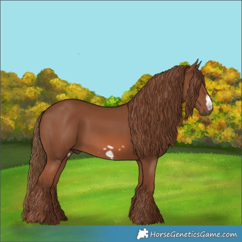 Horse Color:Chestnut Frame