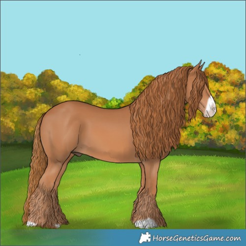 Horse Color:Chestnut Frame