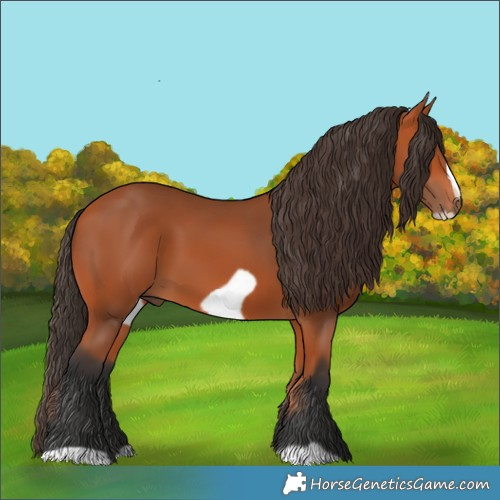 Horse Color:Bay Frame