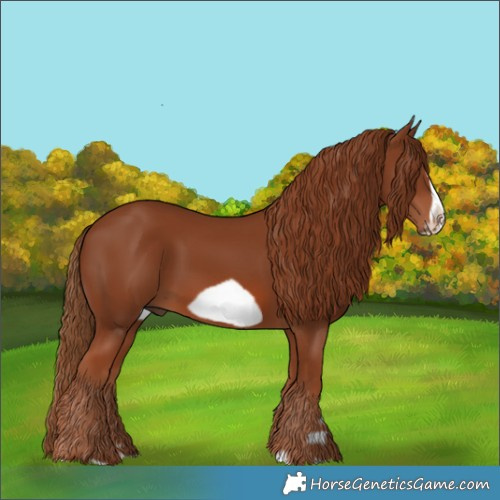 Horse Color:Chestnut Frame 