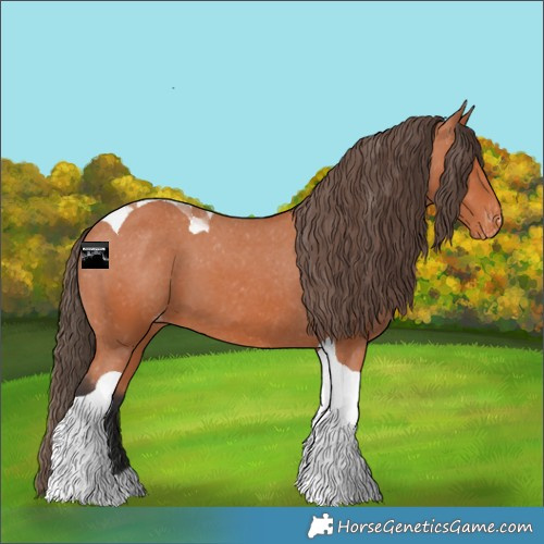 Horse Color:Bay Tobiano Varnish