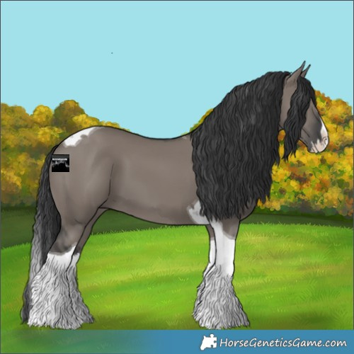 Horse Color:Grullo Splash Tobiano 