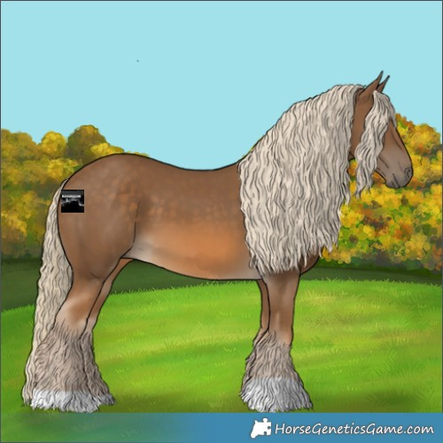 Horse Color:Chocolate Palomino