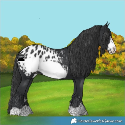 Horse Color:Black Frame Blanket 
