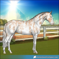 Horse Color:Cremello Sabino and Gray Cremello Sabino