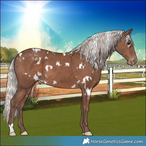Horse Color:White Spotted Silver Black Varnish