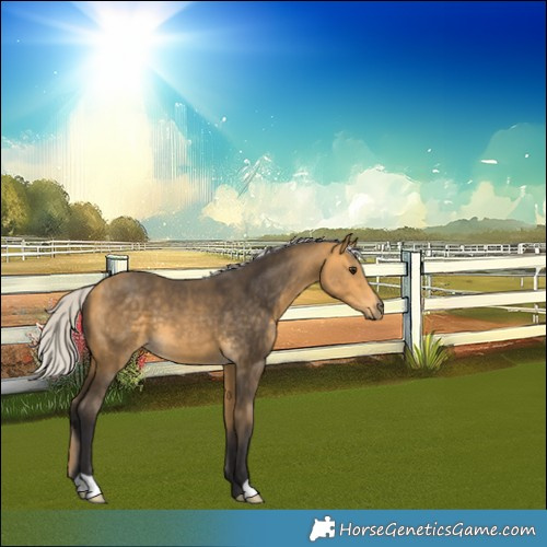 Horse Color:Silver Buckskin