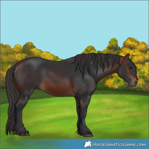 Horse Color:Brown 