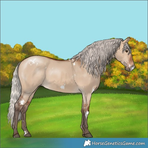 Horse Color:White Spotted Silver Brown Dun