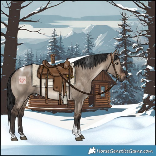 Horse Color:Brown Dun Tobiano 