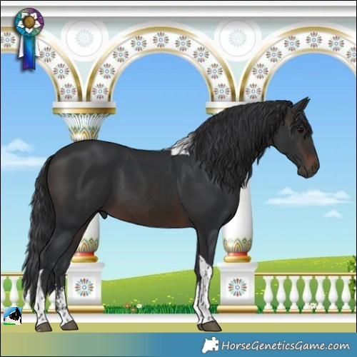 Horse Color:Brown Sabino Tobiano 