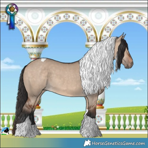 Horse Color:Brown Dun Tobiano