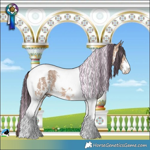 Horse Color:Painted Bay Dun Sabino Tobiano 